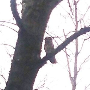 Meet your Posher, Rick